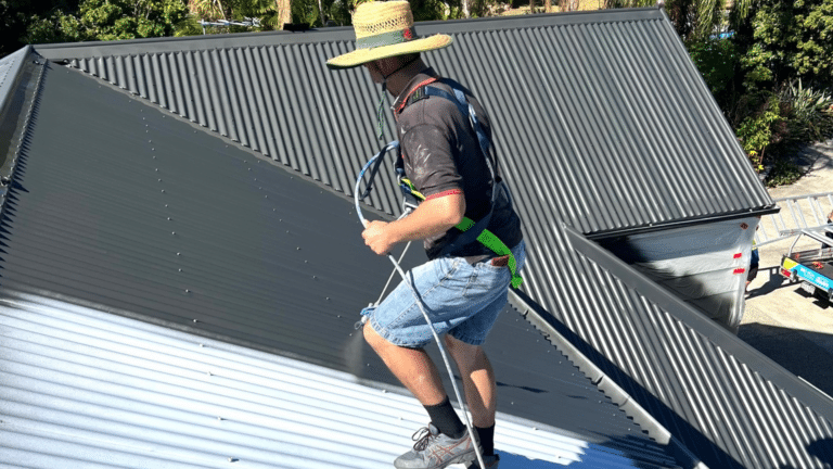 Roof Painting